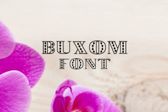Buxom: A Bold Display Font for Every Purpose